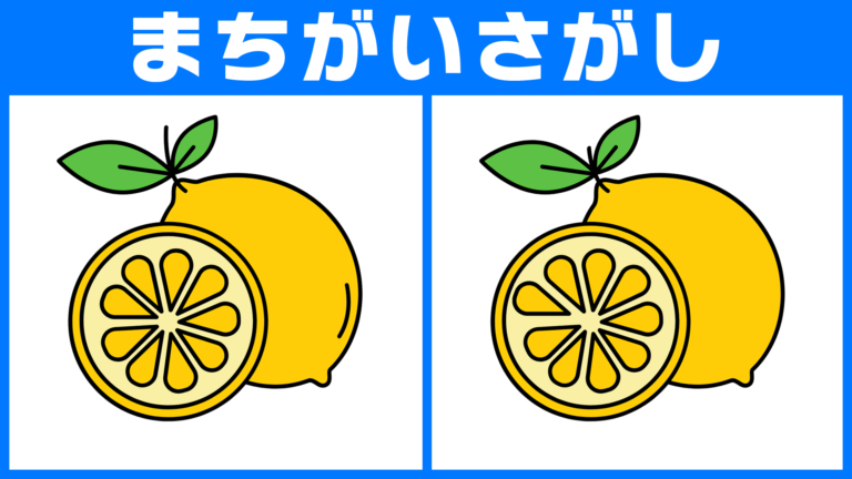 【No.29】答案用紙 | レモン | 猫 | ロングヘア | クローバー【間違い探し脳トレクイズ】